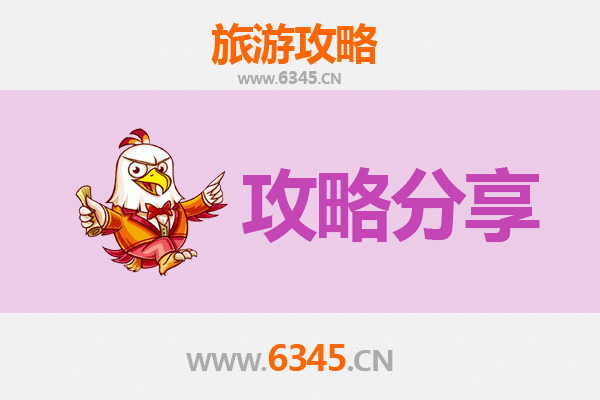 东营广饶旅游攻略：跟团与自由行全方位对比